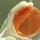 (주)튜링겐코리아 이미지