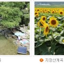 포천자연마을 서울캠핑장 이미지