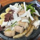 좋은나라애견본부