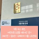 세인트 32 | [강릉] 강릉 숙소 추천 세인트존스호텔 1박 후기｜슈페리어 더블 노오션뷰 내부 / 체크인 / 짐보관