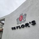 와인의 이해 | 🍷 포르투갈 포트 와인의 정수, '테일러(Taylor’s)' 와이너리 투어 후기!