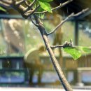 529 게임즈 이미지