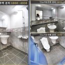 행운하우스