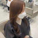 먼스프로미스헤어 이미지