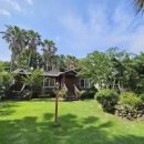 제주소랑 앤 팜스빌리지 이미지