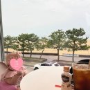 묵호어린이집 | 동해 여행코스 묵호역 망상해수욕장 맛집 카페 추천