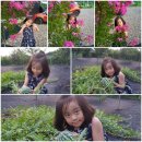 나연농장 이미지