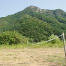 월드황토민박 이미지