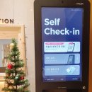 브라운도트 부안변산점 이미지