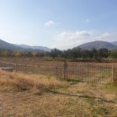 와촌면사무소 이미지