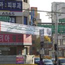 석근삼거리 Daum카페