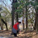 산호환경 이미지