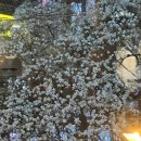 미장원by봄 이미지