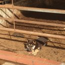 아산농장 이미지