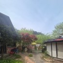 [오리학교]양평 서종 자연 힐링 오리고기 맛집