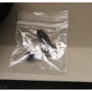 안경매니져둔산점 이미지