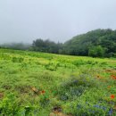 나리 야영장 옆 이미지