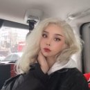 헤어광