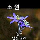 대성종합중기 이미지