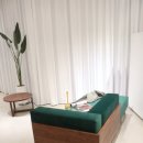 모던데이 이미지