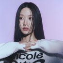 니콜콜렉션