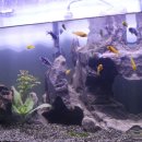 반장즉석떡볶이 군산점 이미지