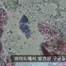 동물병원 All Pets 이미지