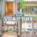 빌레하우스 | 경기도 광주 가볼만한곳 자연속 유럽분위기 닻미술관 카페돛