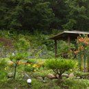 단양추억펜션민박 이미지