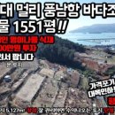 풍남항 네이버블로그
