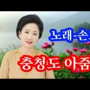 충청도 아줌마 - 노래 손호연 이미지