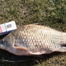 호암지낚시터 이미지