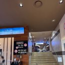 폴바셋 롯데백화점 광주점 | 광주 롯데백화점 데이트 코스 추천｜영화 군체 보고 폴바셋까지 완벽