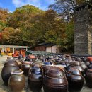 합천도서관 | 경남 거창군, 합천군 가을 나들이 후기