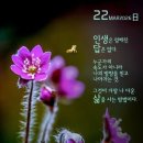 신세대만물
