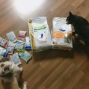 이시아동물병원 이미지