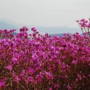 월영초등학교 이미지