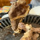 돌쇠네식육식당 | 광주 한우 소고기무한리필 “첨단돌쇠네식육식당”