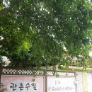 관촌수필펜션