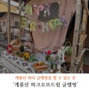 대전 세종 공주 근처 계룡산 글램핑 파크오브드림
