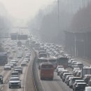 입장거봉포도(서울) 이미지