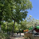 영덕울진축협 동물병원 | 여행, 울진여행, 영덕여행 , 2박3일 울진 영덕여행, 시포트리조트, 영덕 행복초밥, 오마카세, 칠돈가...