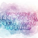 롤킹롤러스케이트