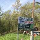 쉼이있는자유 이미지