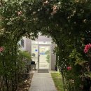 연어집 언양점 | [언양 연어집 후기] 자취방에서 혼자 먹은 나홀로세트, 단백질 가득 혼밥의 행복