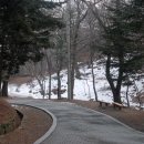 소학 Daum카페