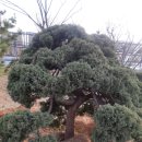 바라밀실버하우스 이미지