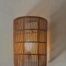 아이보리 타이거 이미지