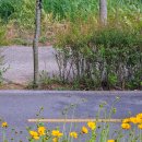 도래울바람물공원 이미지