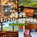 하동 숙소 추천 도시고양이생존연구소 도미토리 카페다락 후기